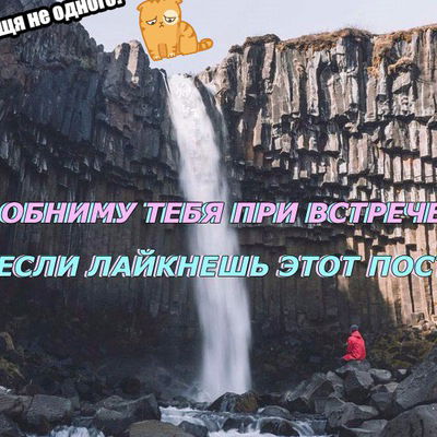 Алина Алексеева