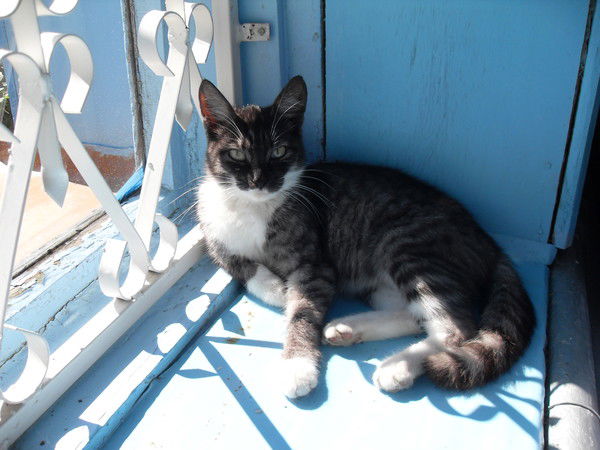 Александр Казанцев