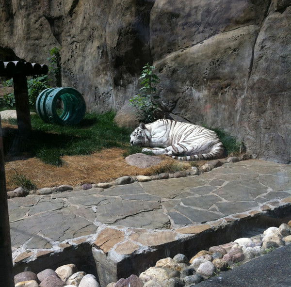 Евгений Кауров