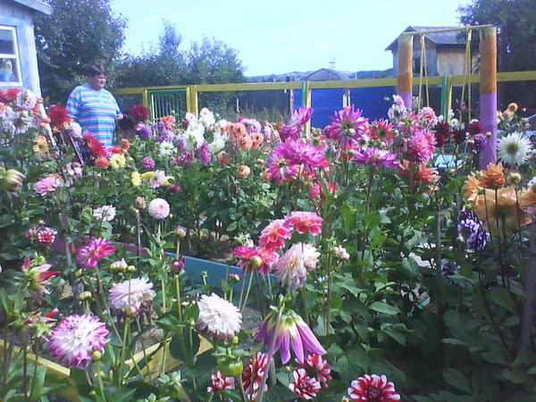 Макарова Тамара