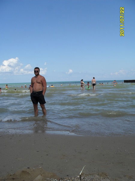 Тарас Бафкари