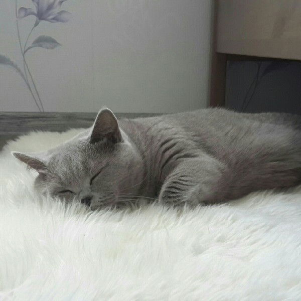 Оксана Ершова