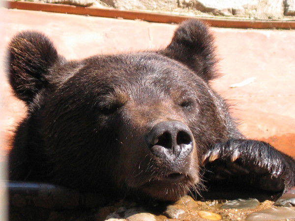 Неизвестно Неизвестно