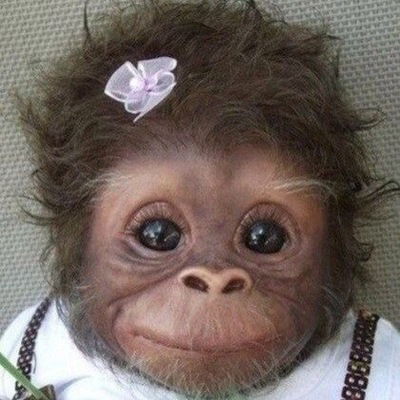 Оксана Астахова