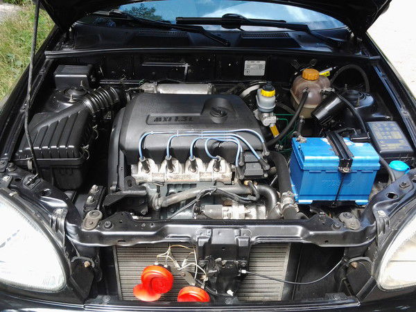 Дмитрий Ковтун