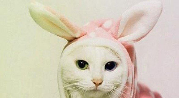 Вова_Ак_47 Кункель