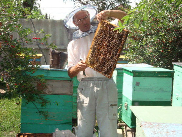 Сергей Новиков