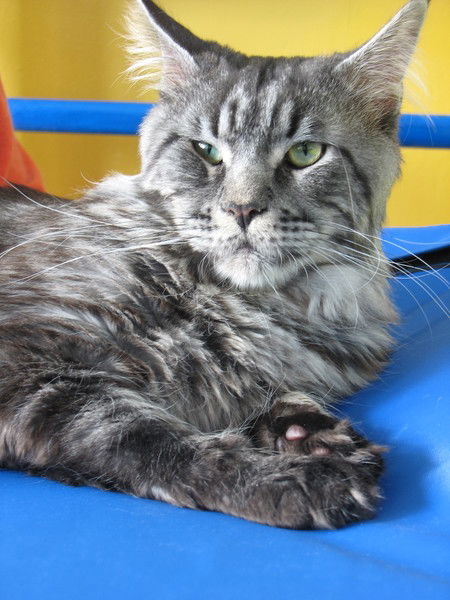 Юрий Потапенко