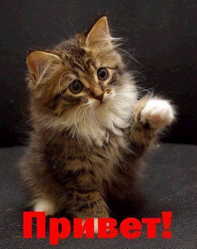 Николай Кондратьев