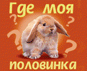 Ирина Курская