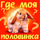 Ирина Курская