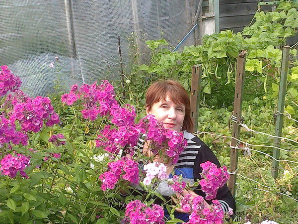 Елена Шевченко