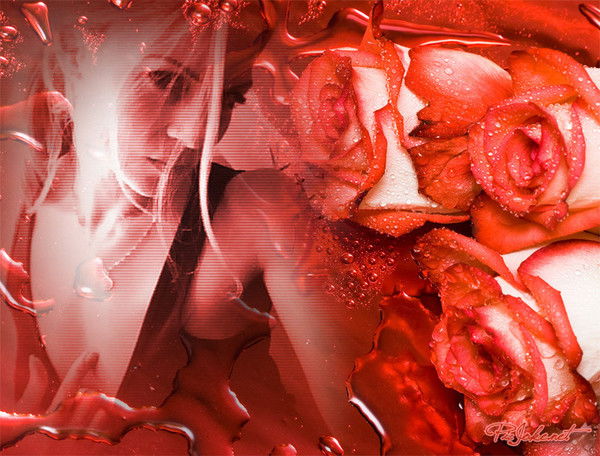 Алена Корнилова