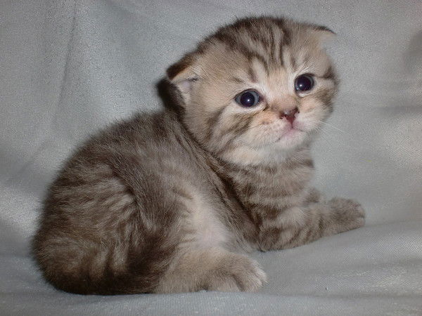 Валентина Грабовец