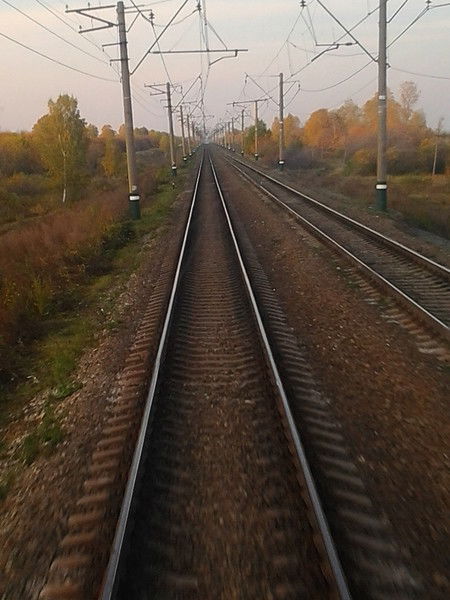 Дмитрий Степанец