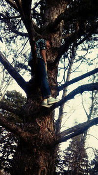 Мария Котик