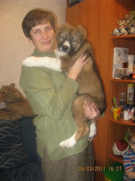 Елена Данкевич