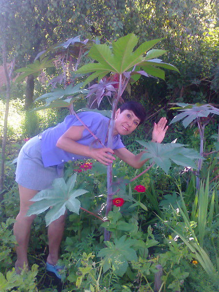 Наташа Мухаметярова