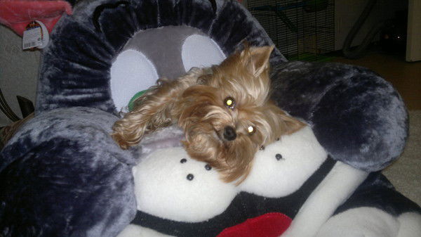 Ольга Ускова