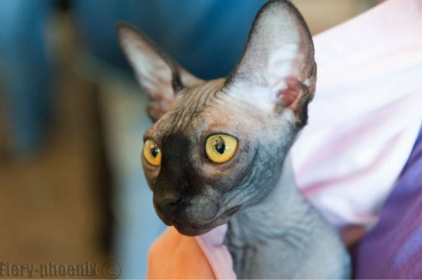 Людмила Красных