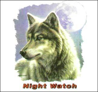 Павел Моторин