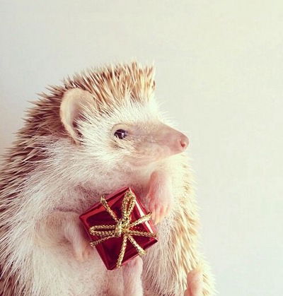 Светлана Леонова