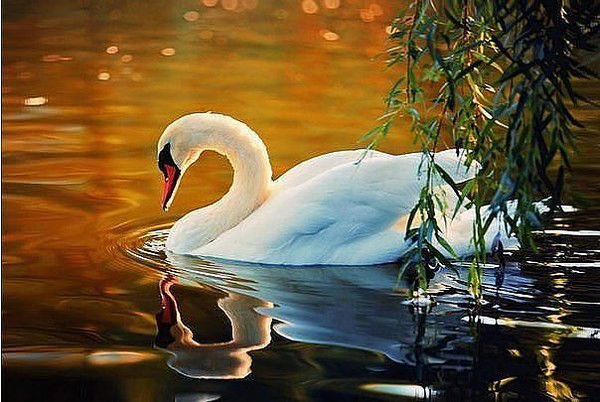 Тамара Кузнецова