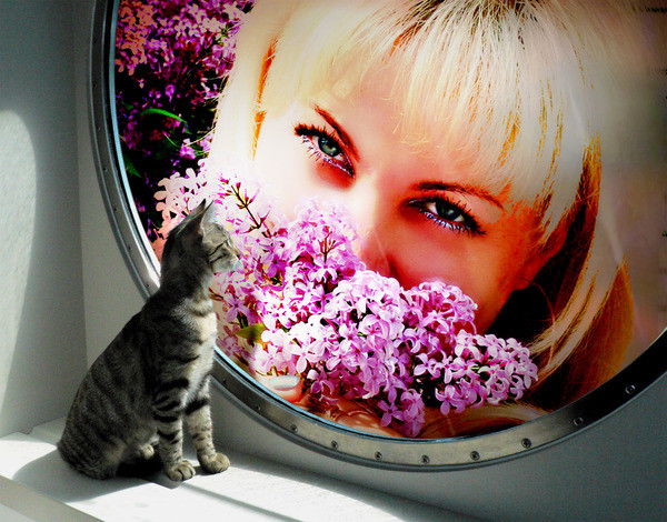 Людмила Пасечник (Кошова)