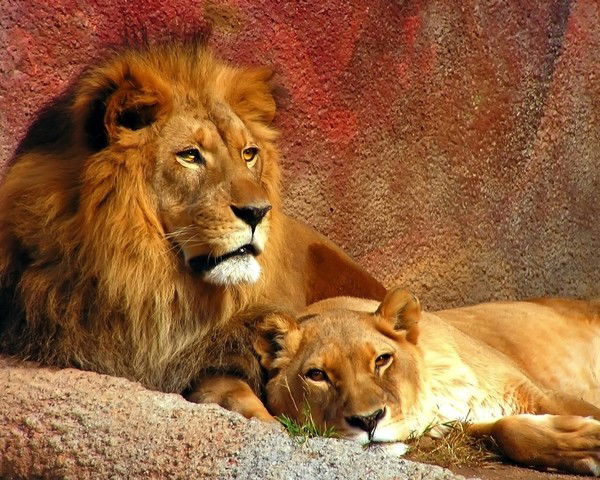 Оксана Князева