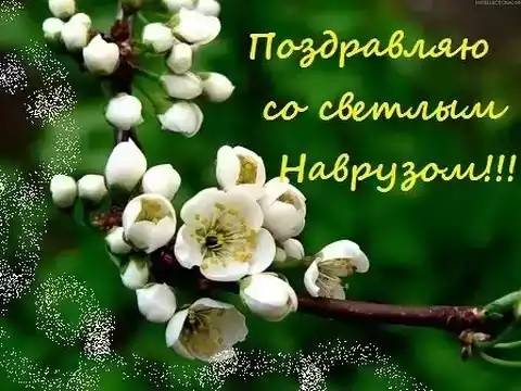 Вавян Матушкин Братуха