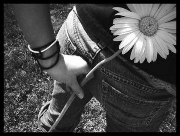 Лена Шаройко