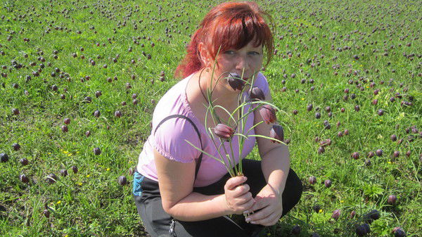 Елена Глотова