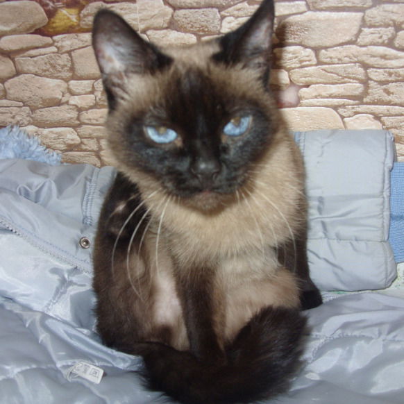 Елизавета Проскурина