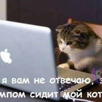 Елена Киткова