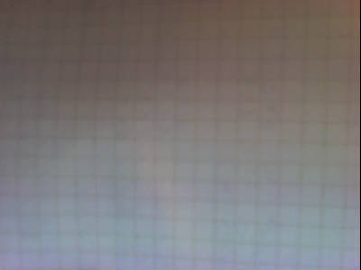 Николай Белокуров