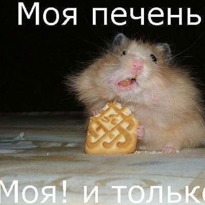 Александр Зайцев