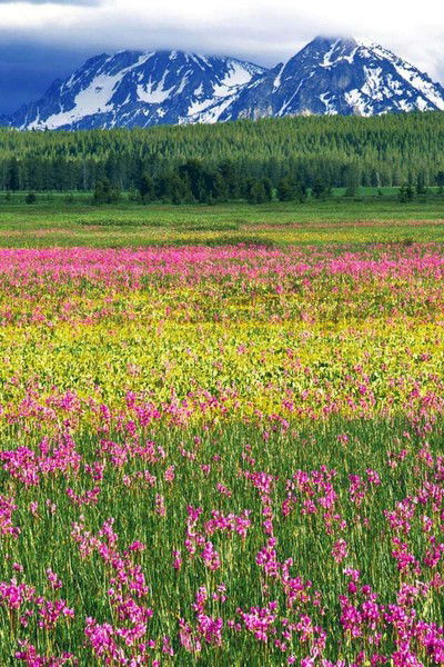 Галия Жаукеева