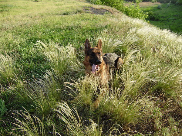 Татьяна Ткаченко