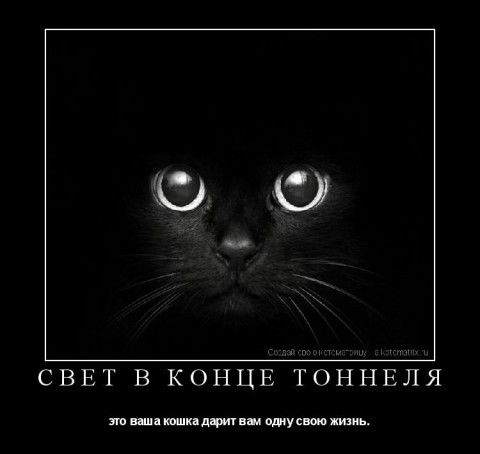 Наталья Иконникова