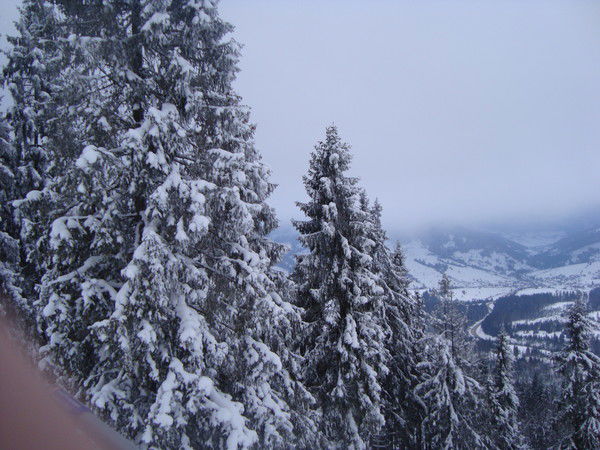 Лариса Крапивницкая