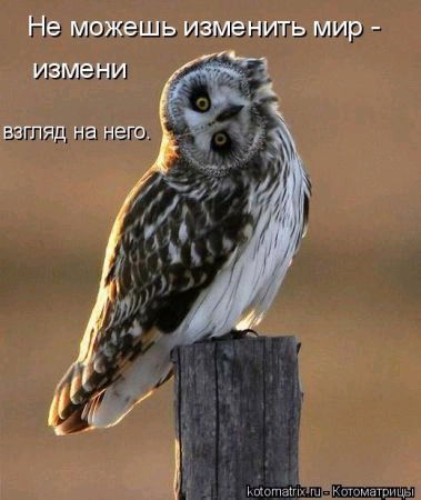 Игорь Обросов