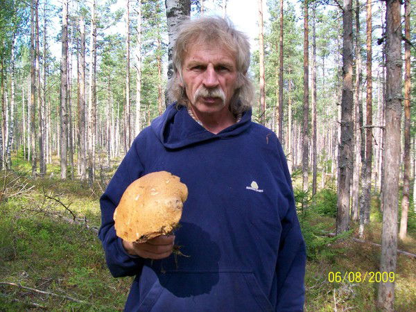 Владимир Павлов