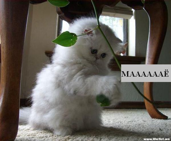 Наталья Казакевич