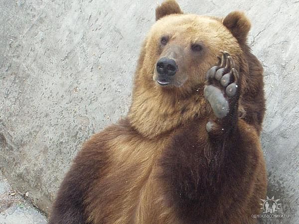 Евгений Терехов