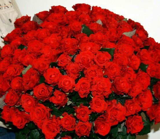 Ырысгул Мурзалиева