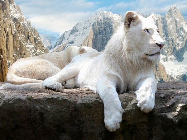 Георгий Левченко