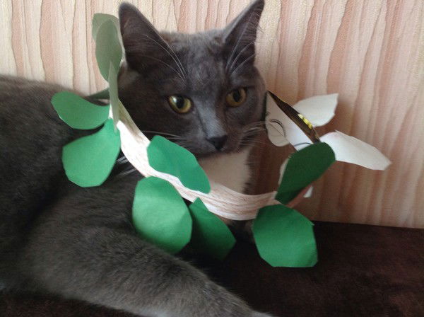 Надежда Сутягина