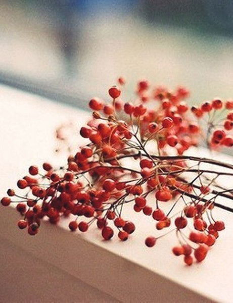 Наталья Хохлова