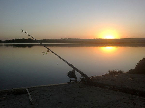 Олег Тарасенко