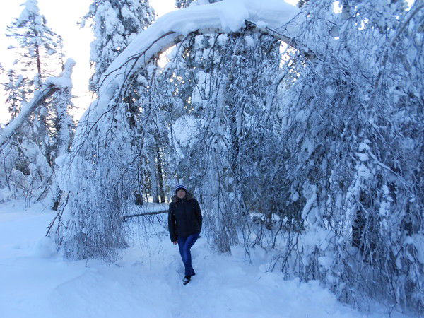 Татьяна Шишова ( Пимкина)